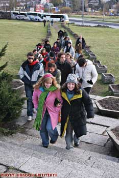 IMG_ (11962)